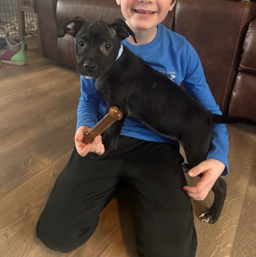 Luna — thumbnail 2