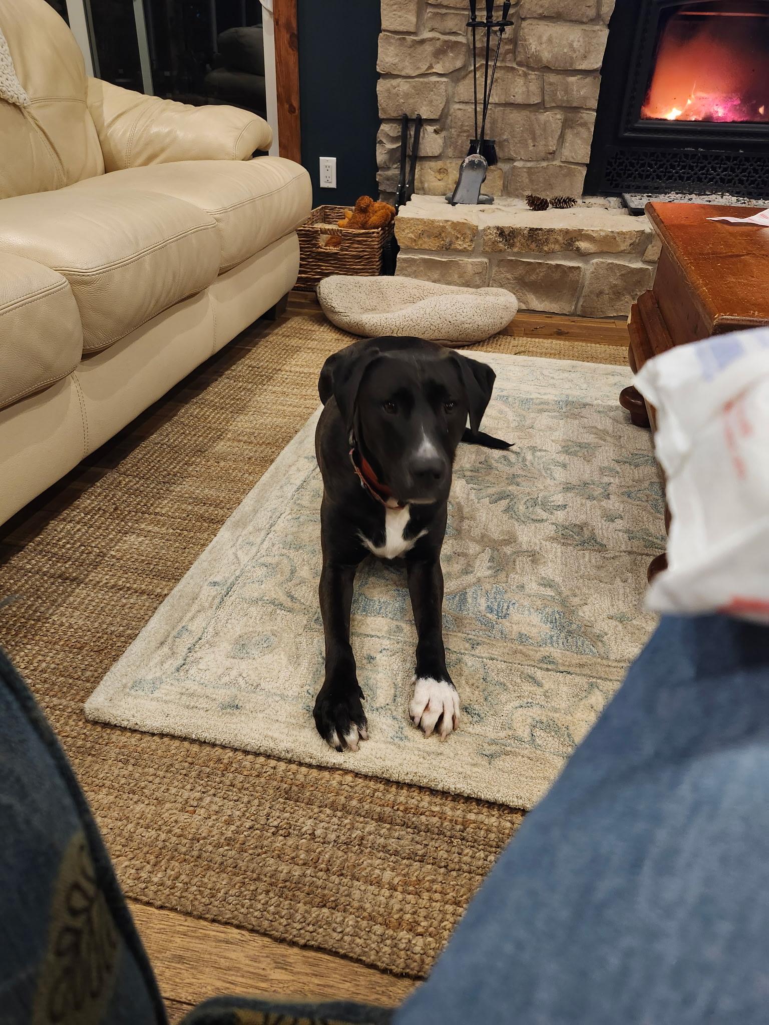 Chili Bean (20220704-03) — thumbnail 3