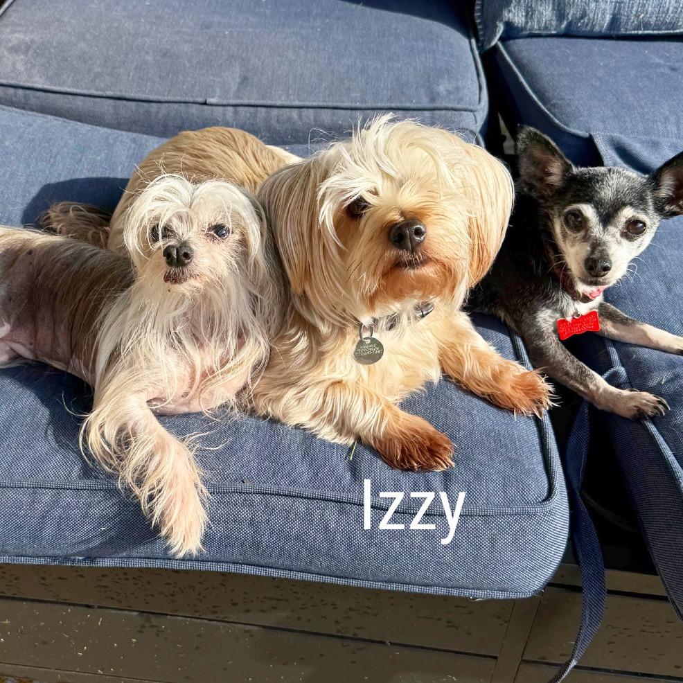 Izzy thumbnail 6