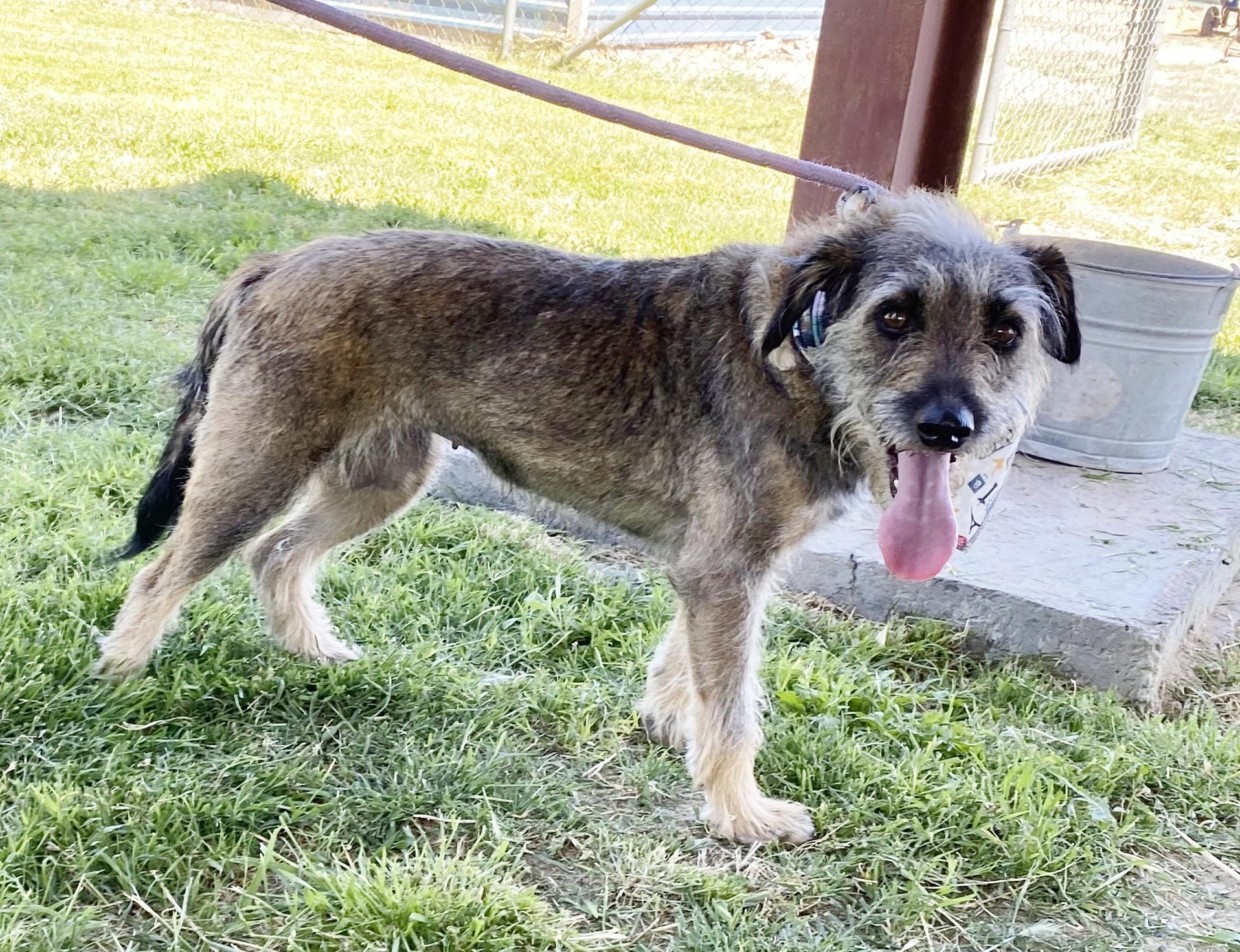 Luna (2)