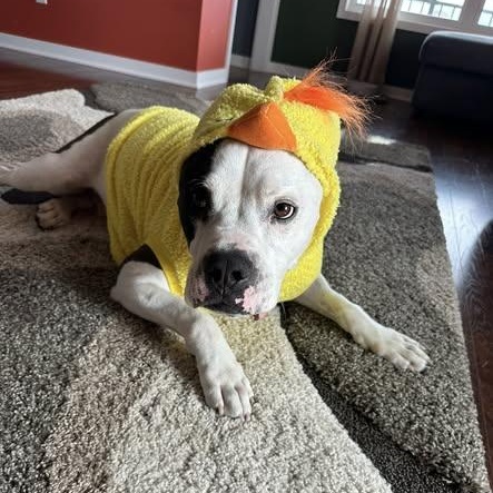 Iron Man — thumbnail 2