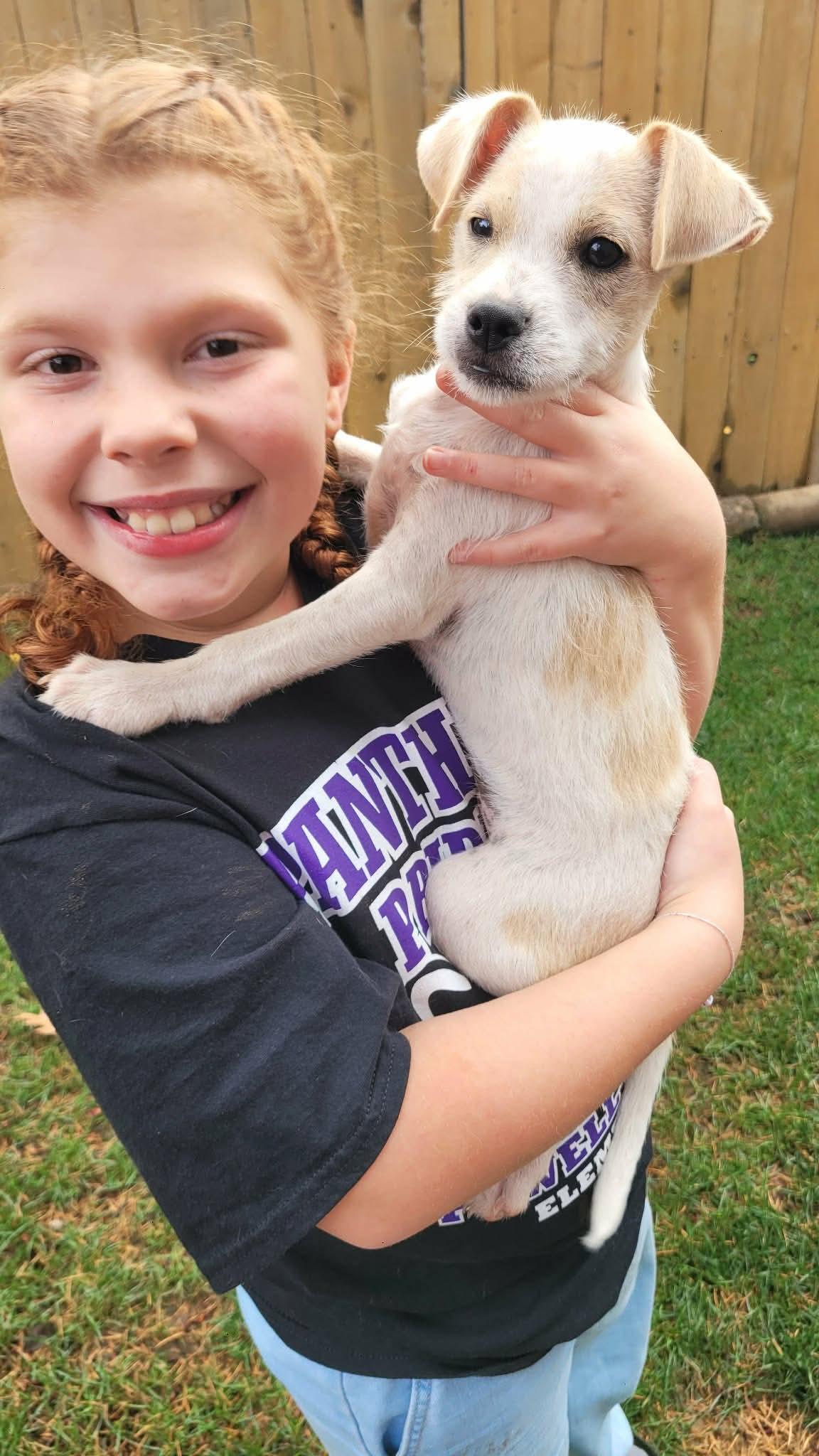 Enlarge Chowder, a Adoptable mixed breed in Beavercreek, OR image 2/6