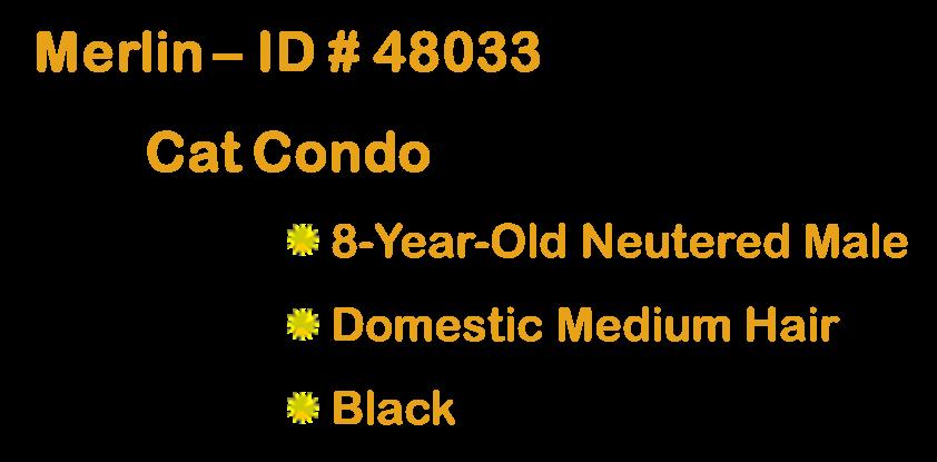 Shortround — thumbnail 2