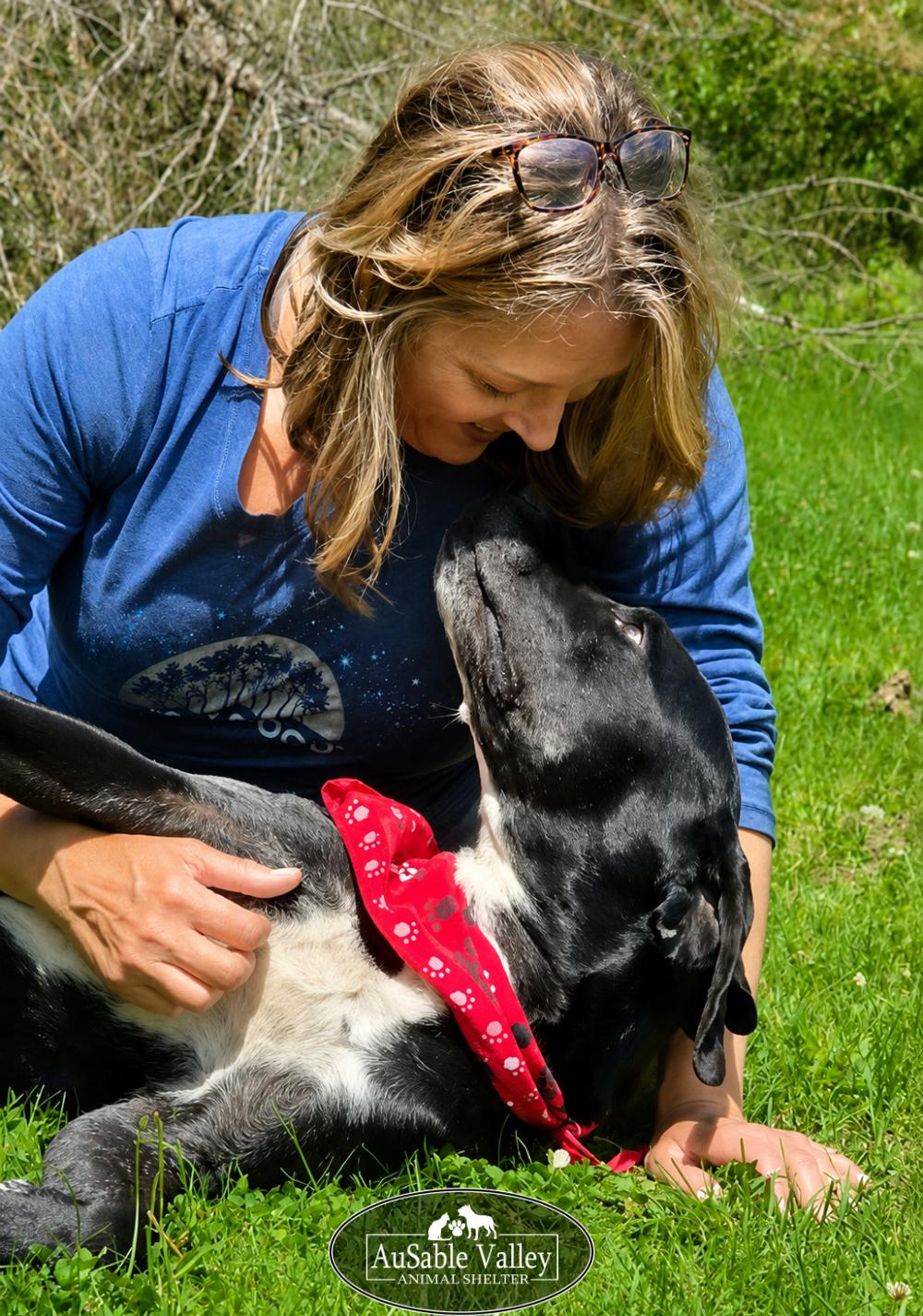Gator, a ADOPTABLE mixed breed in Grayling, MI image 5/6