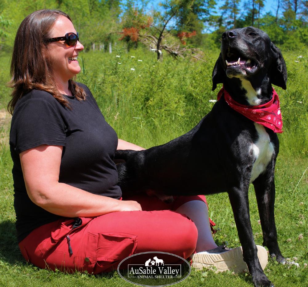 Gator, a ADOPTABLE mixed breed in Grayling, MI image 3/6