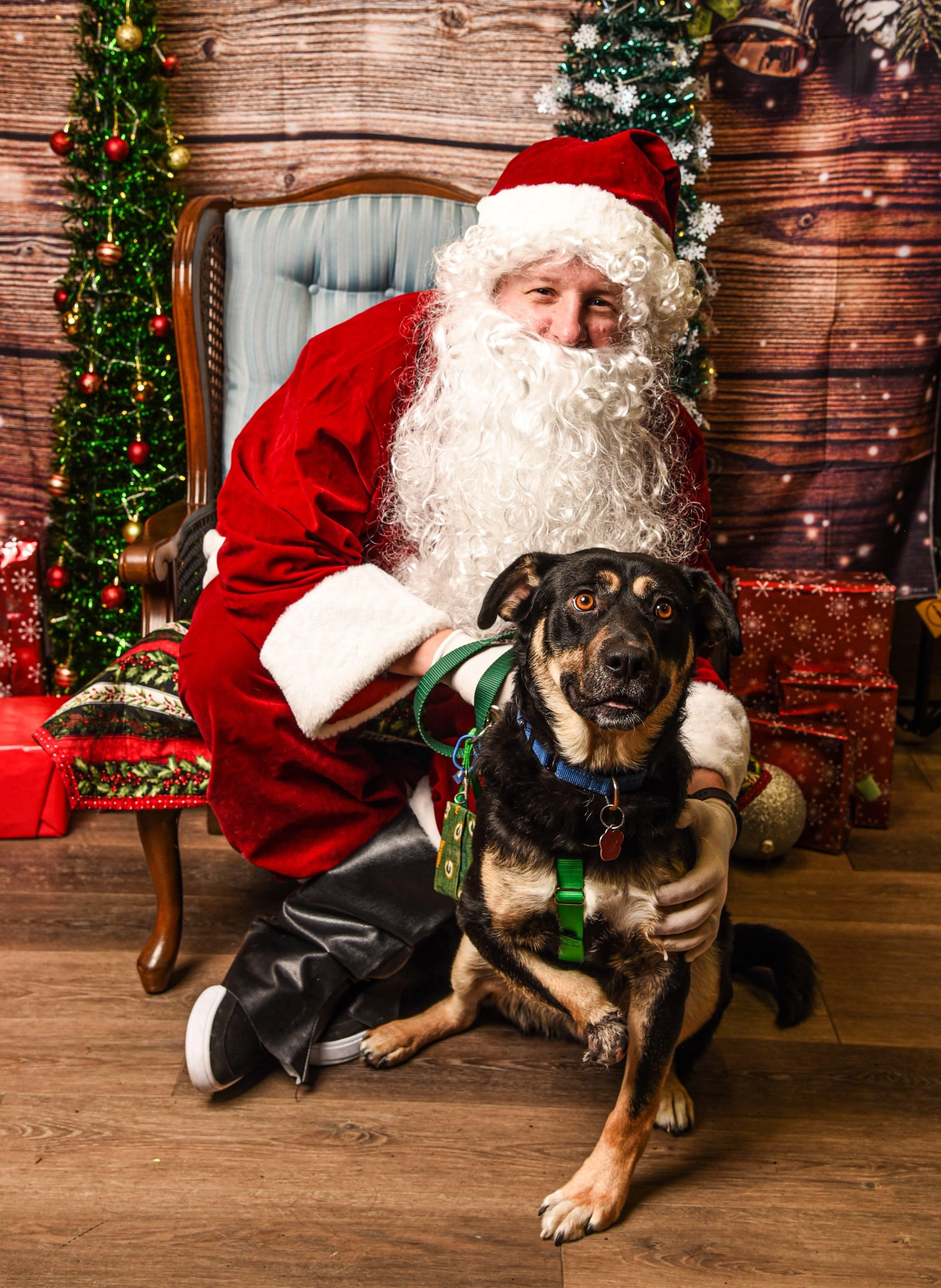 Enlarge Hugh, a Adoptable mixed breed in Little Chute, WI image 5/6