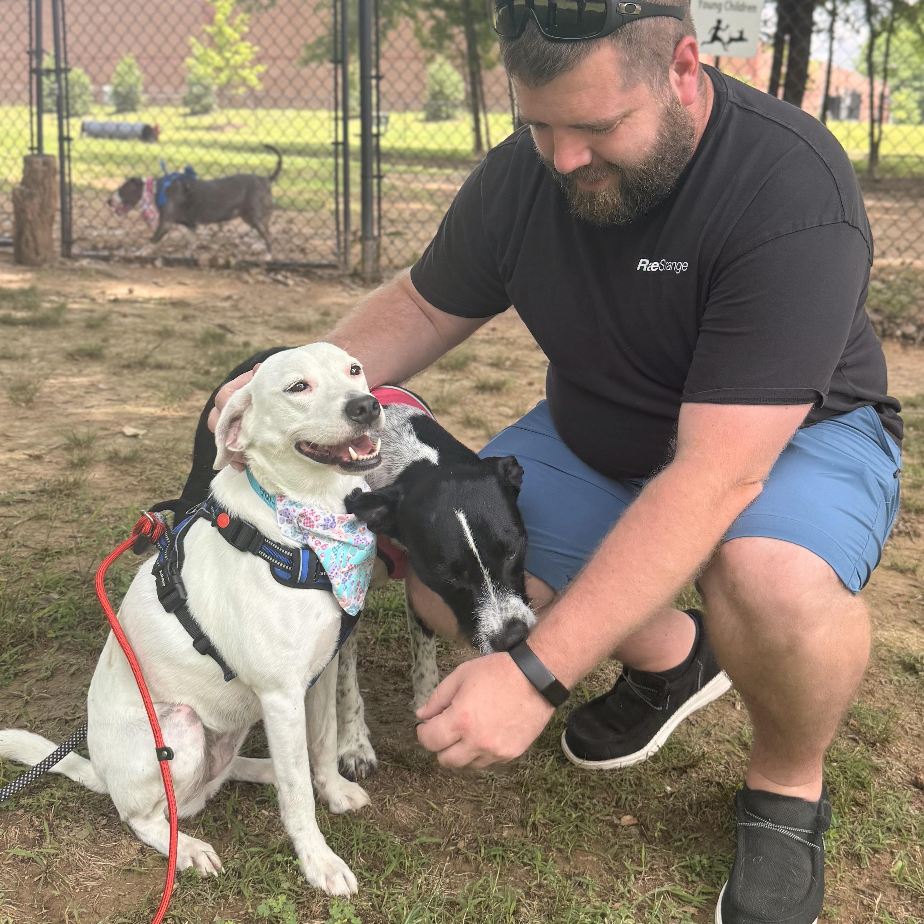 Enlarge Ellie Mae, an adopted mixed breed in Southaven , MS image 6/6