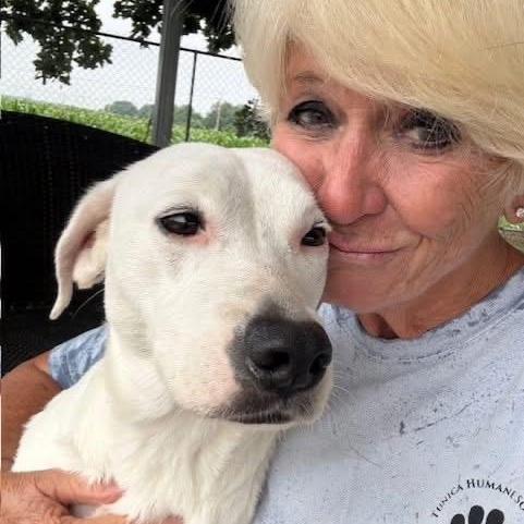 Enlarge Ellie Mae, an adopted mixed breed in Southaven , MS image 5/6