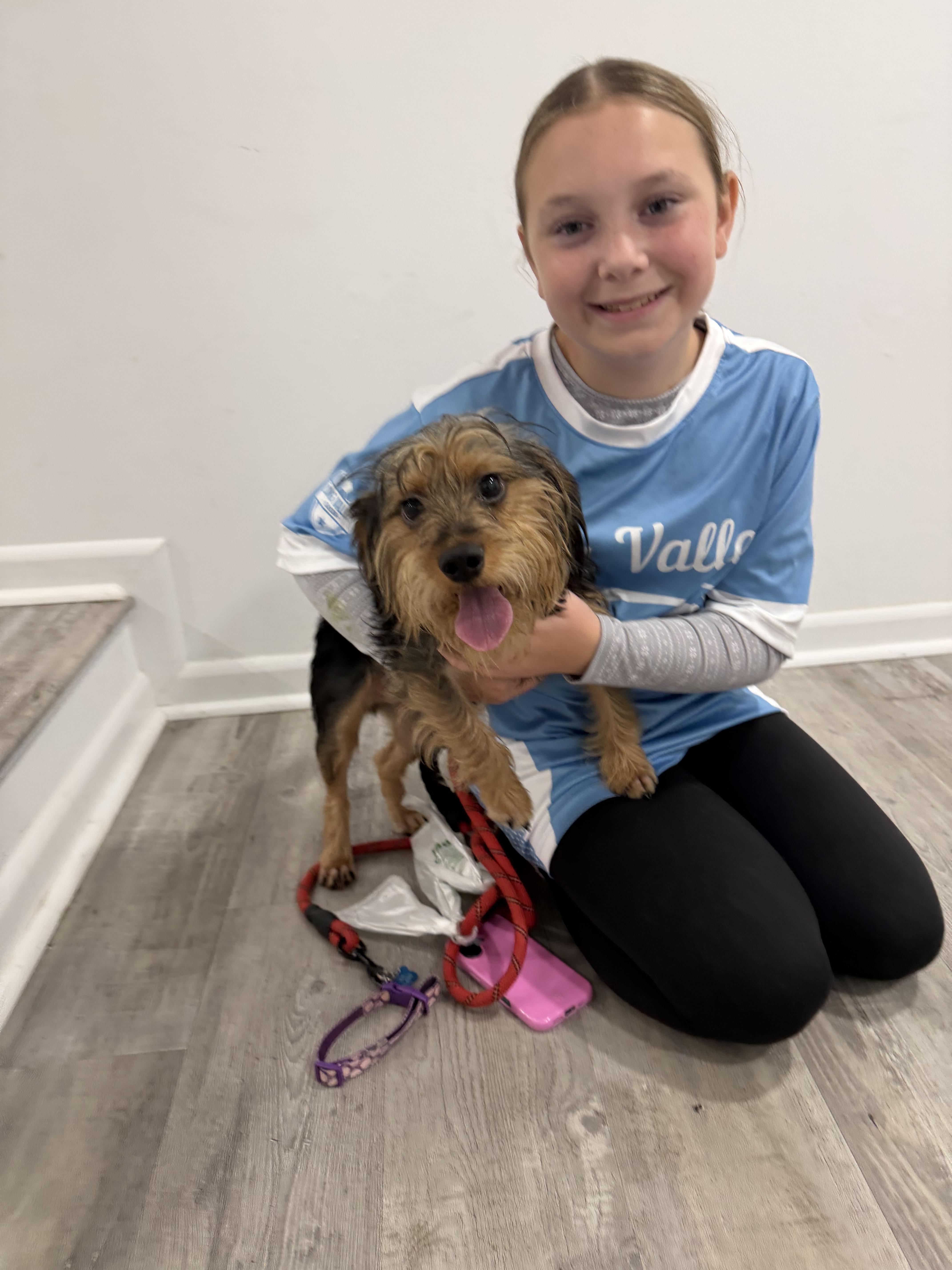 Enlarge LS - Little Sampson, a Adoptable mixed breed in Randolph, NJ image 3/6