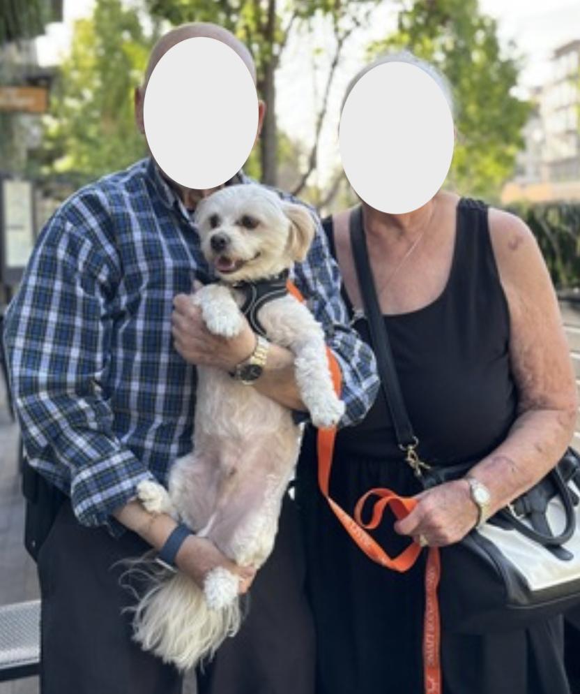 Enlarge Winnie, a Adopted mixed breed in Walnut Creek, CA image 4/6