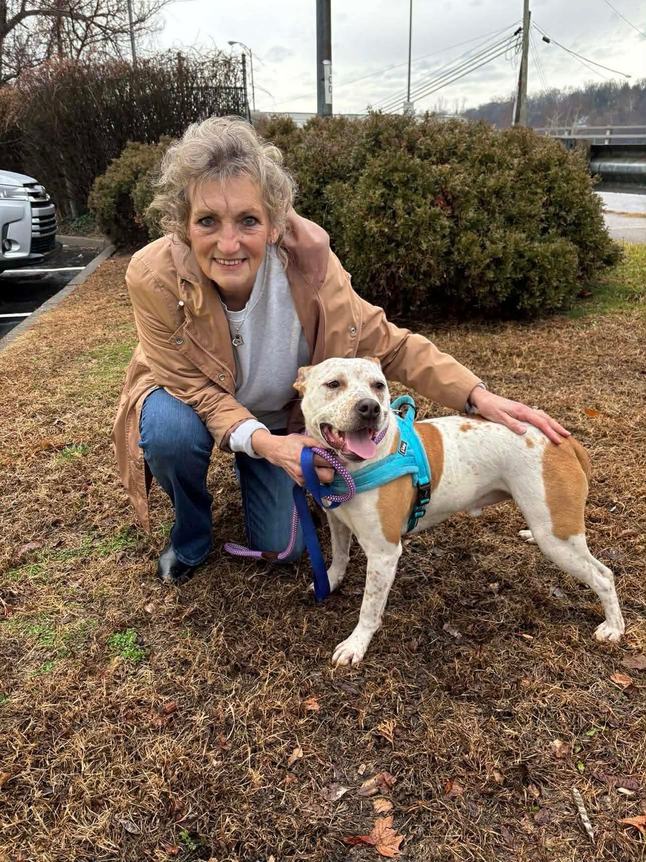 Enlarge Spanky, a Adoptable mixed breed in Glenmoore, PA image 3/3