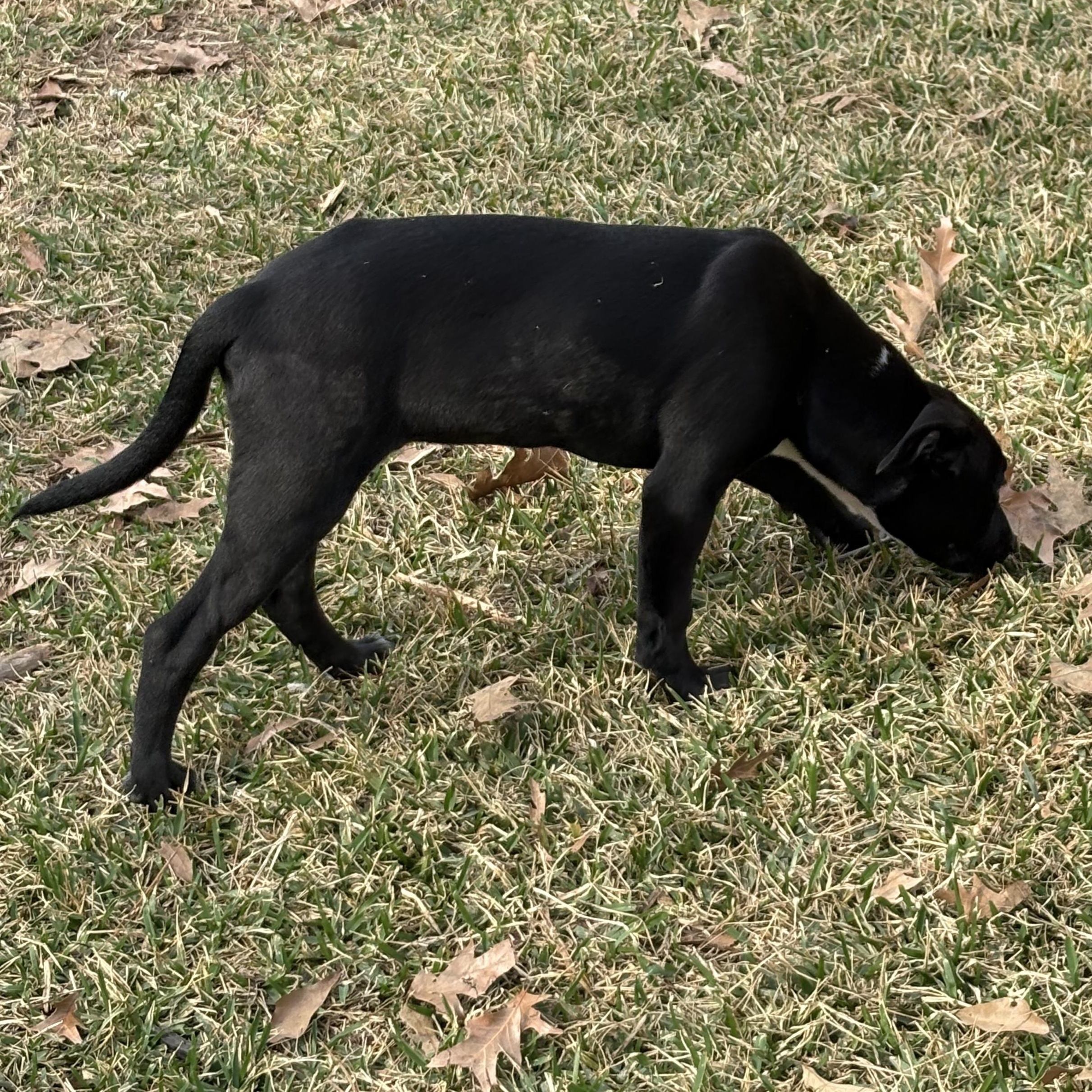 Aurora — thumbnail 3