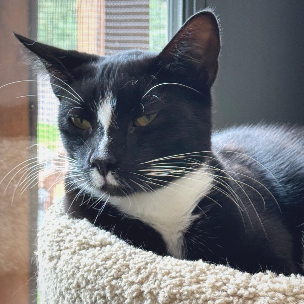 Captain 2 — thumbnail 2