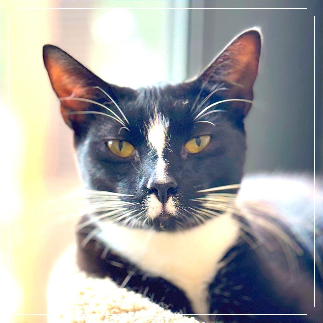 Captain 2 — thumbnail 3