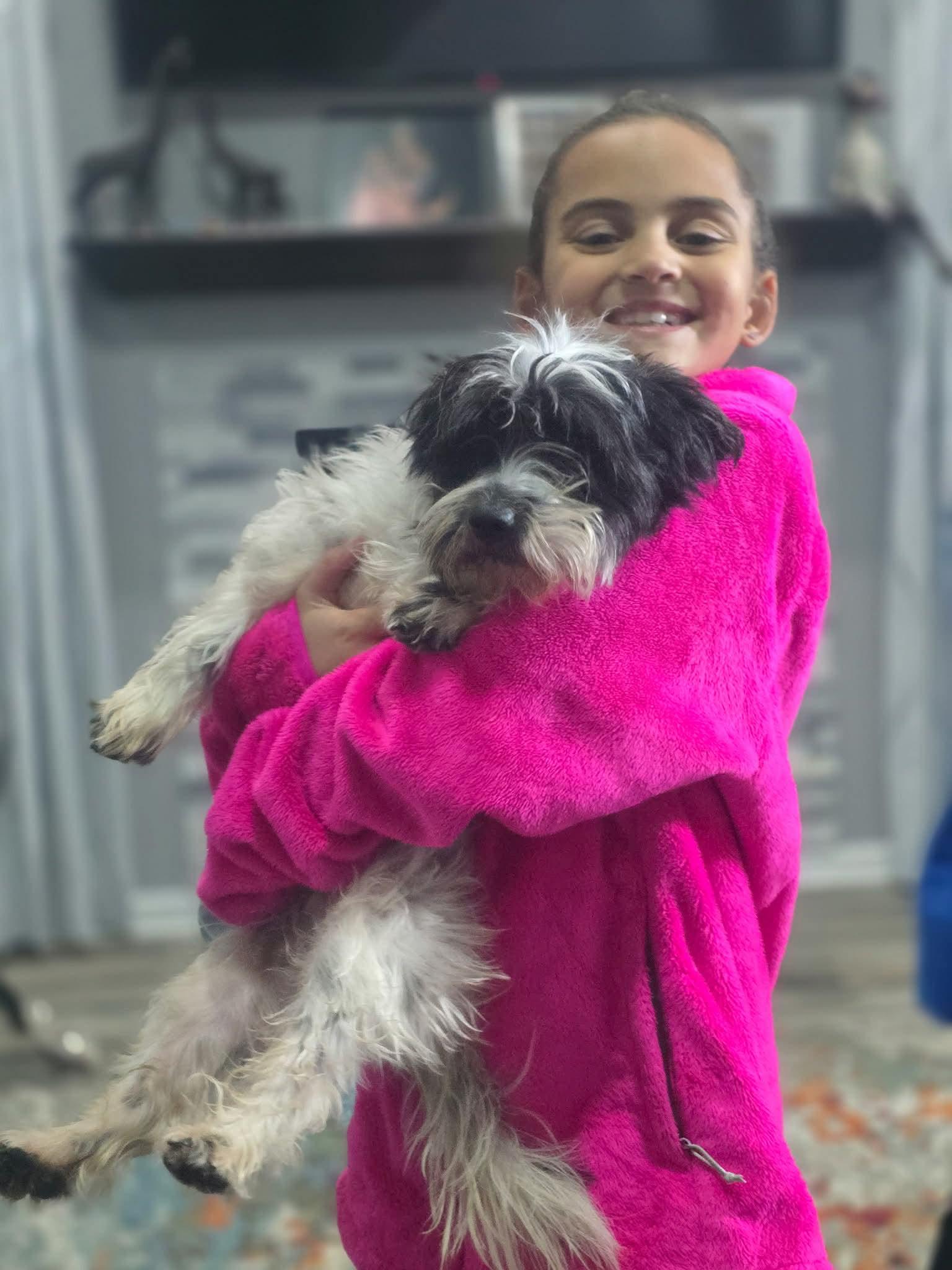 Enlarge pickles, a ADOPTABLE mixed breed in Lowell, IN image 2/4