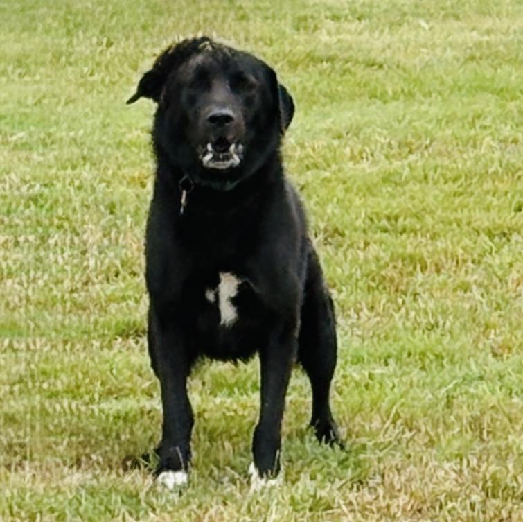 *Barkley photo 2