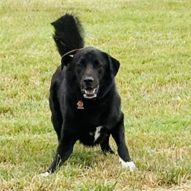 *Barkley photo 3