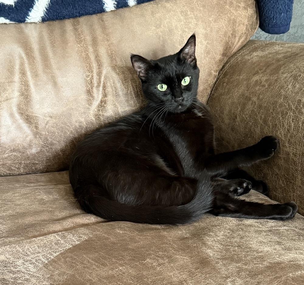 Emerald — thumbnail 3