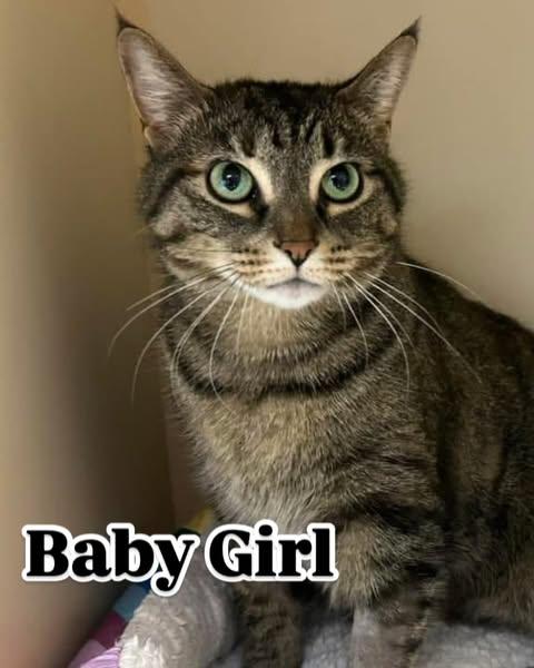 Baby Girl FH 3/23 2