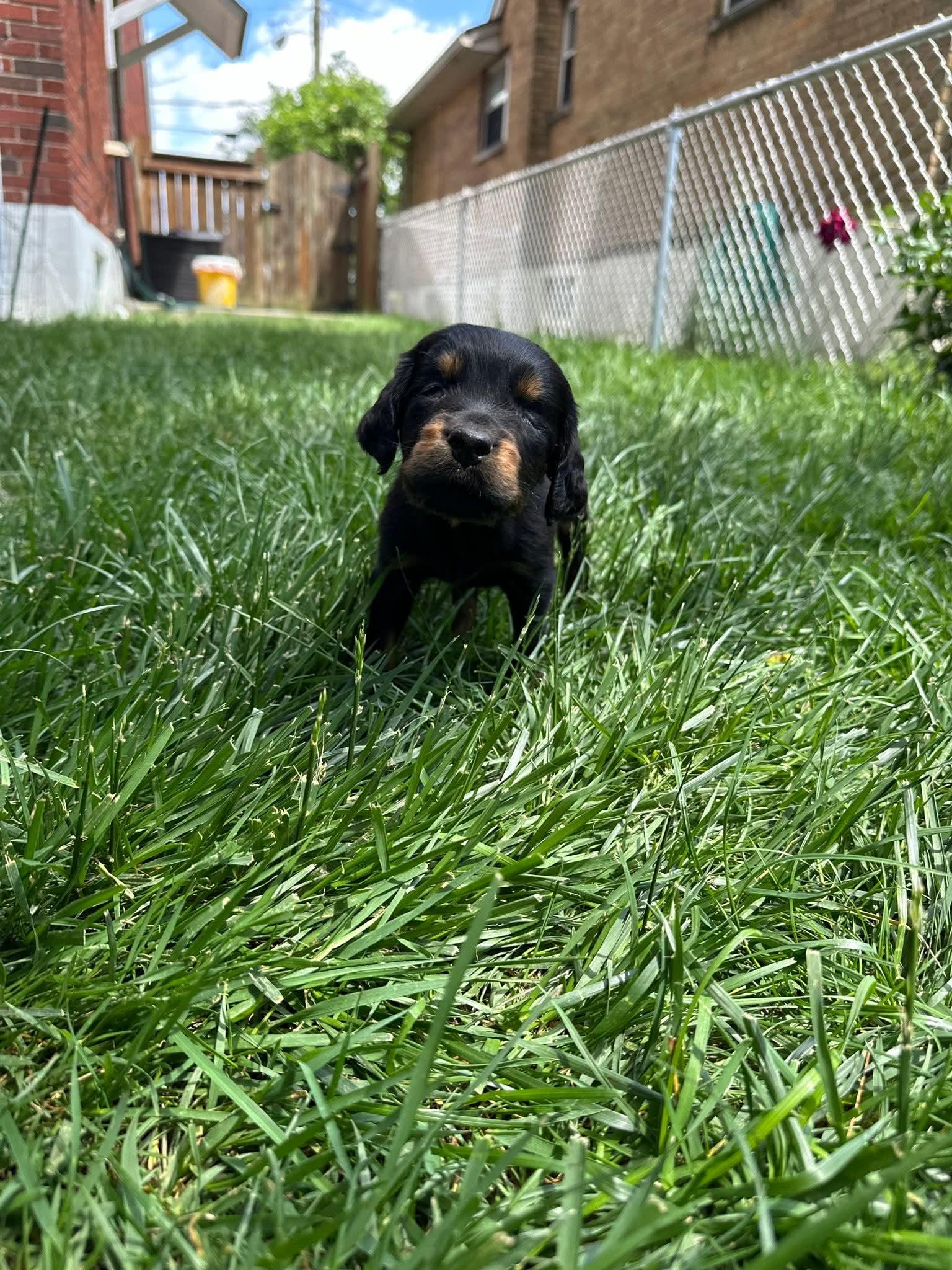 Cheddar photo 3