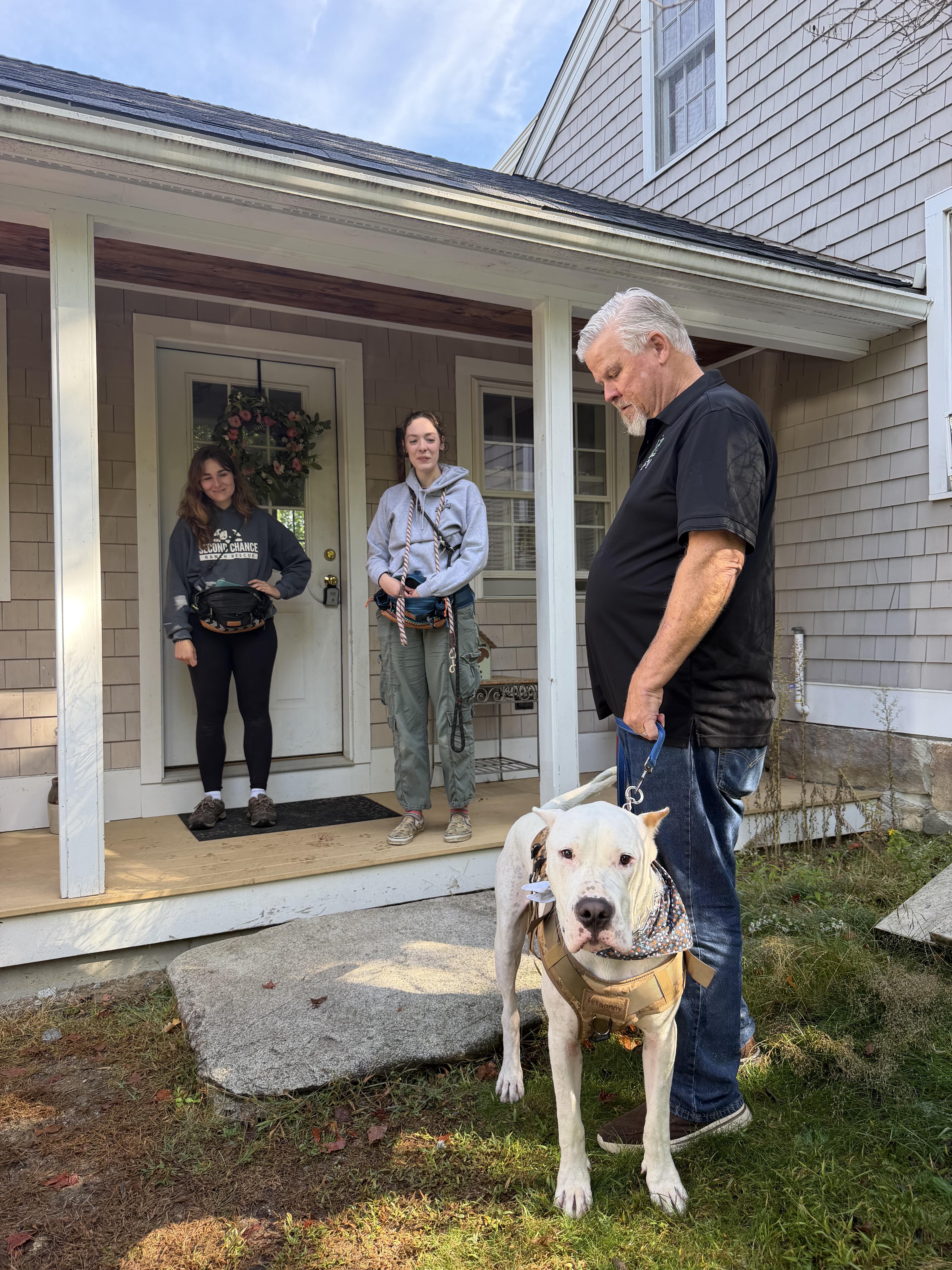 Enlarge Anton, a Adoptable mixed breed in New Boston, NH image 2/6