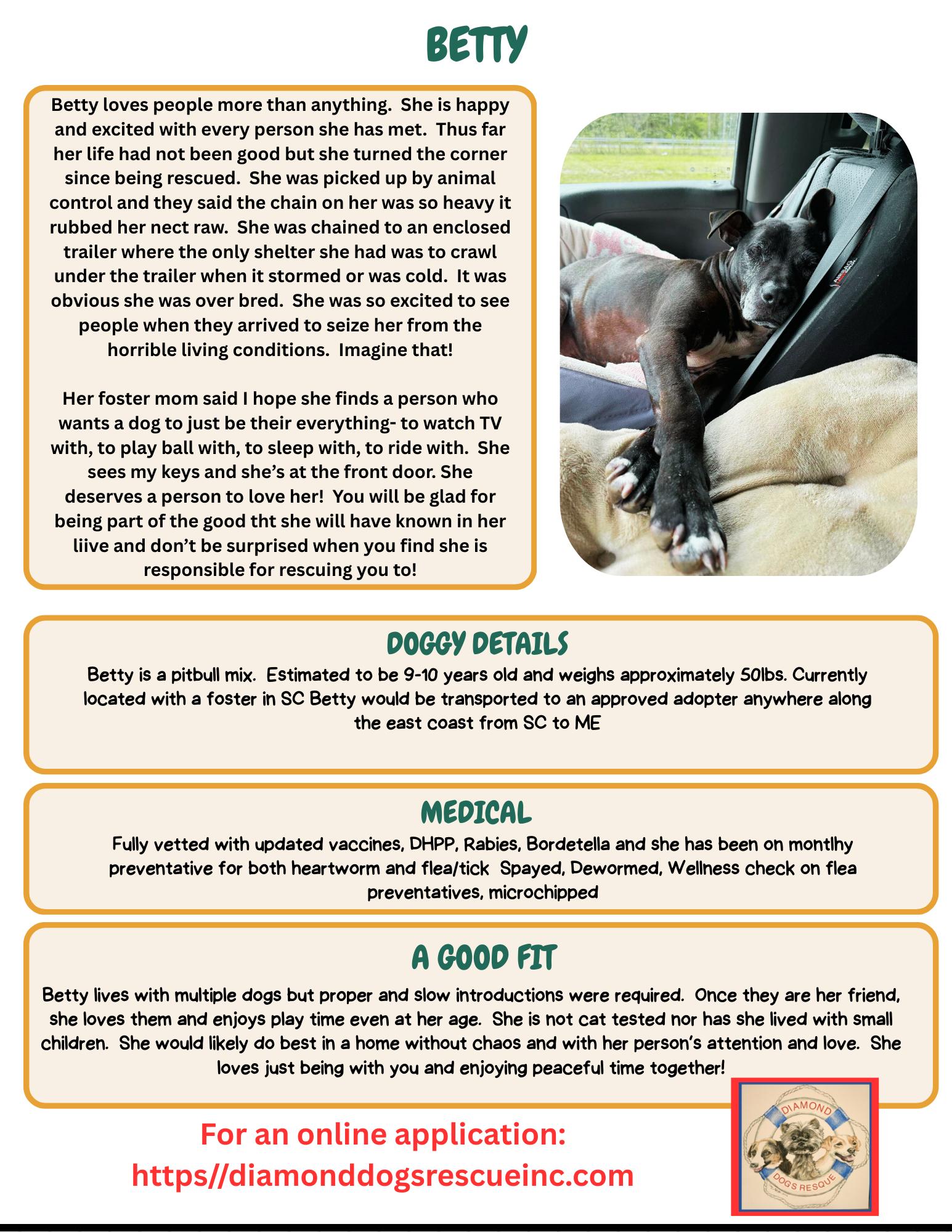 Enlarge BETTY, a Adoptable mixed breed in Mount Holly, NJ image 6/6