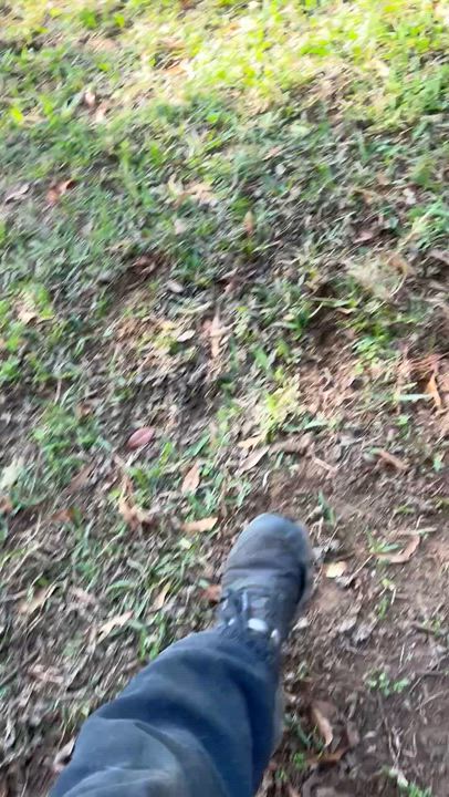 Enlarge Nathan, a Adoptable mixed breed in Tyler, TX video 4/6