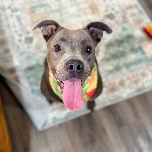 Cinder Ella Wiggle Bug Wonderful Water Girl