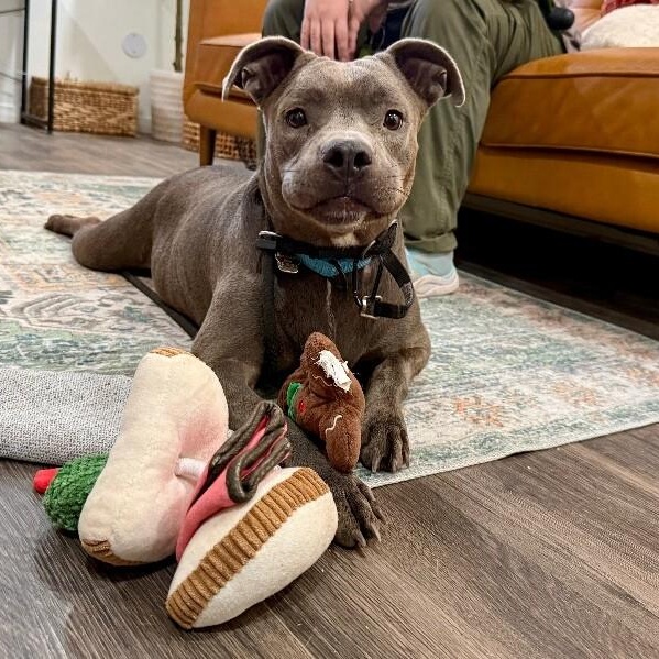 Cinder Ella Wiggle Bug Wonderful Water Girl — thumbnail 4