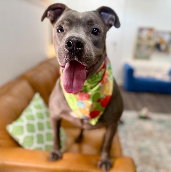 Cinder Ella Wiggle Bug Wonderful Water Girl — thumbnail 5