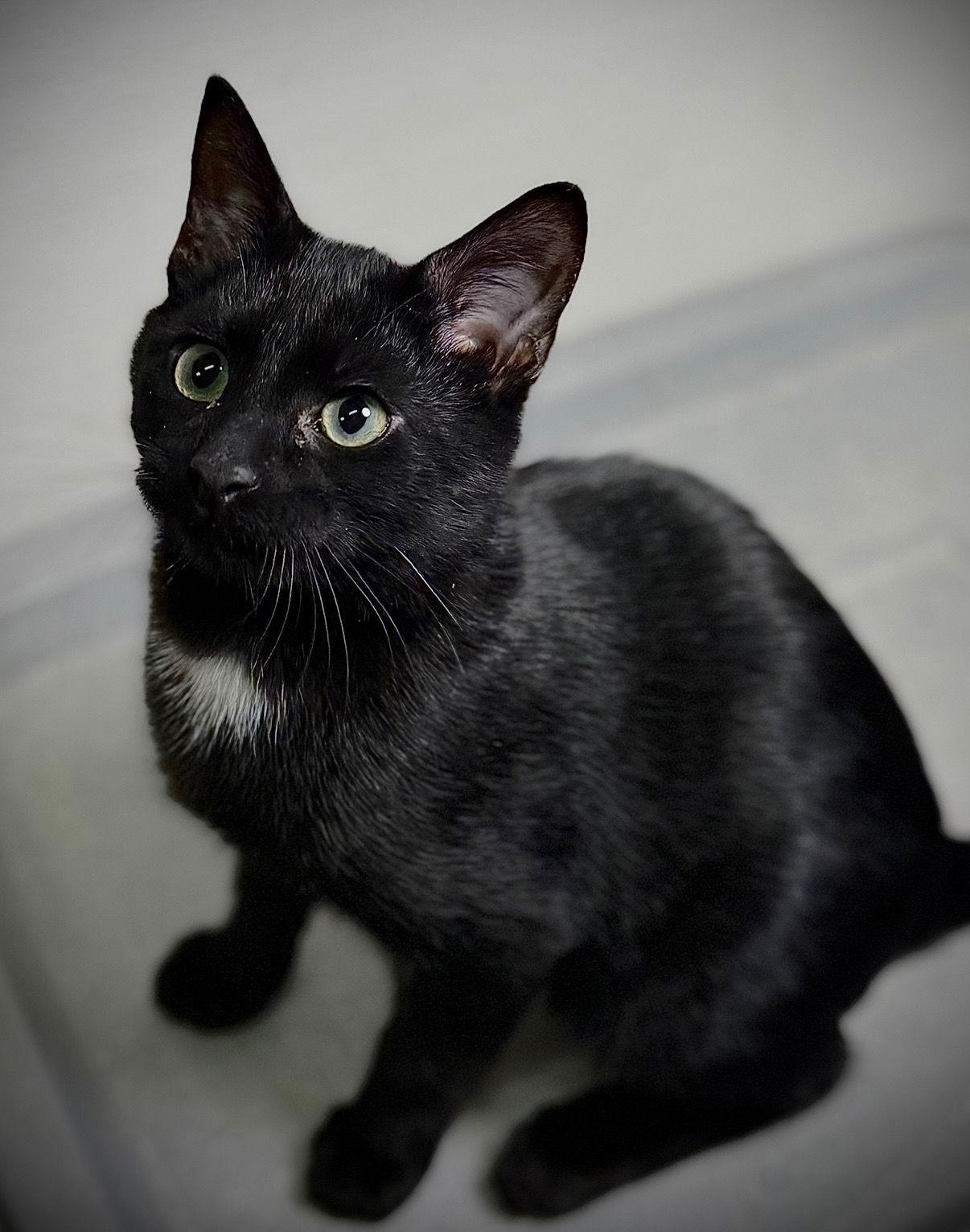 Glitch — thumbnail 2