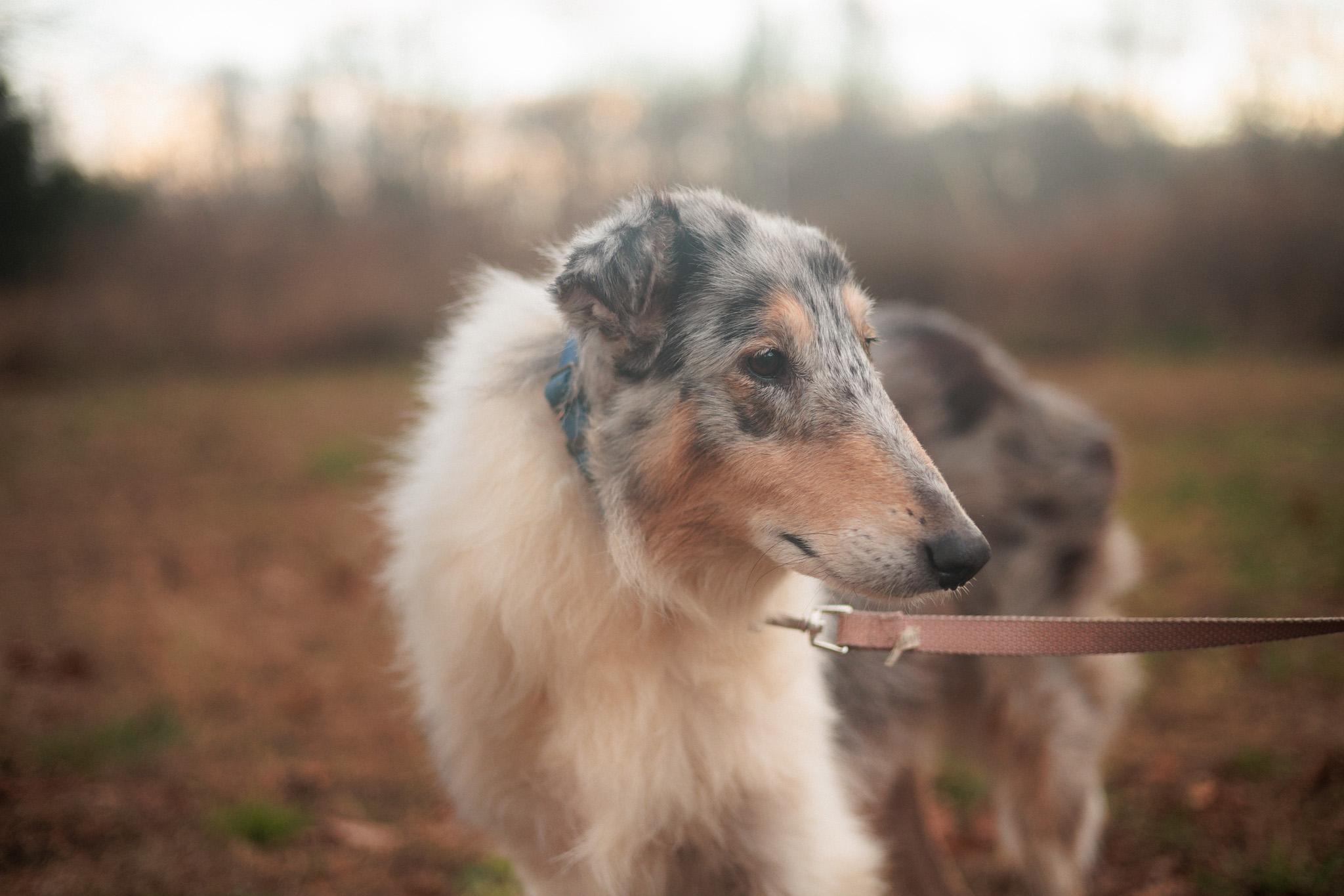 Roxy Grace thumbnail 2