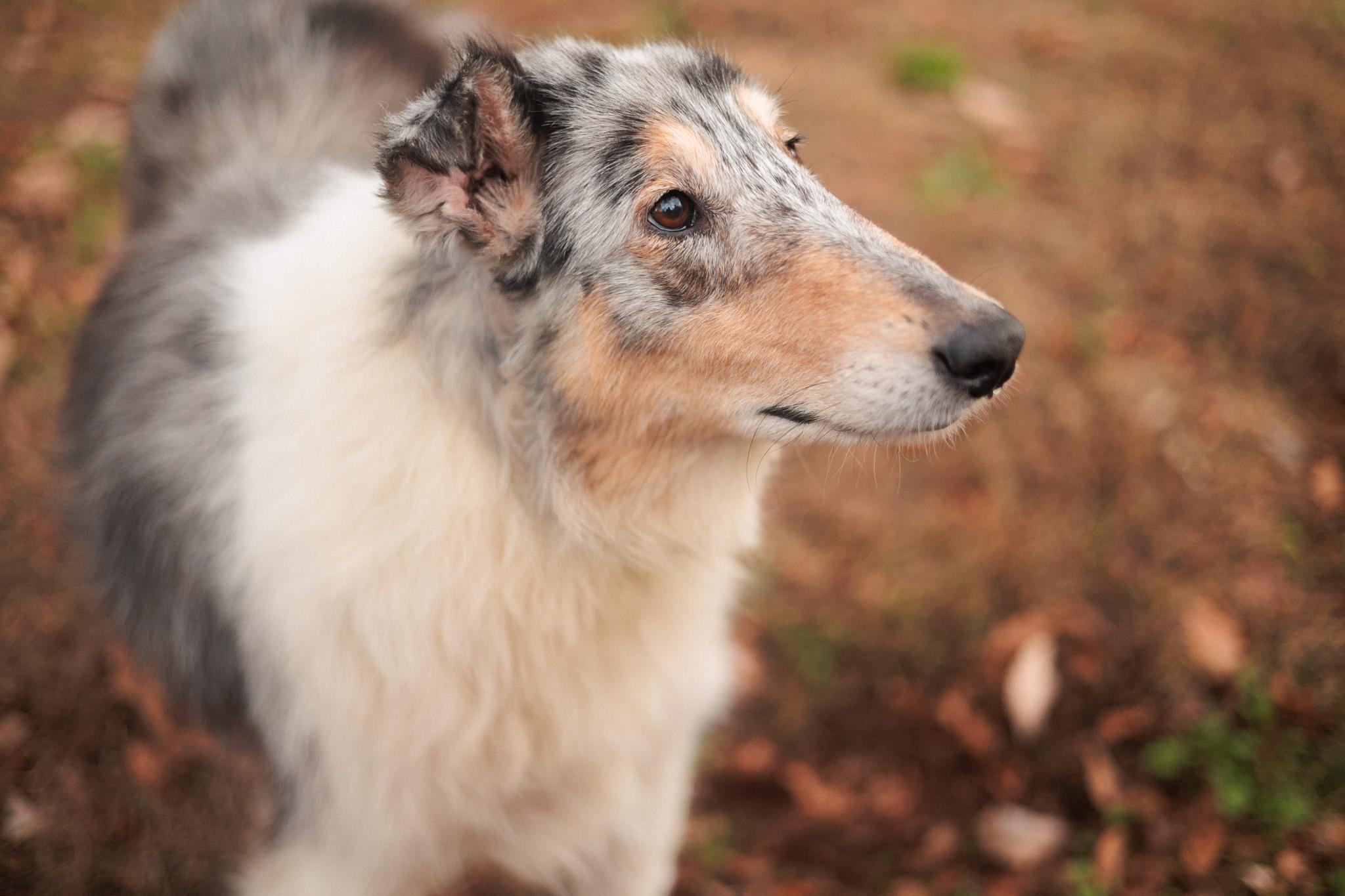 Roxy Grace thumbnail 3