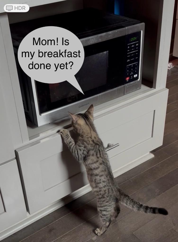 Pierogi