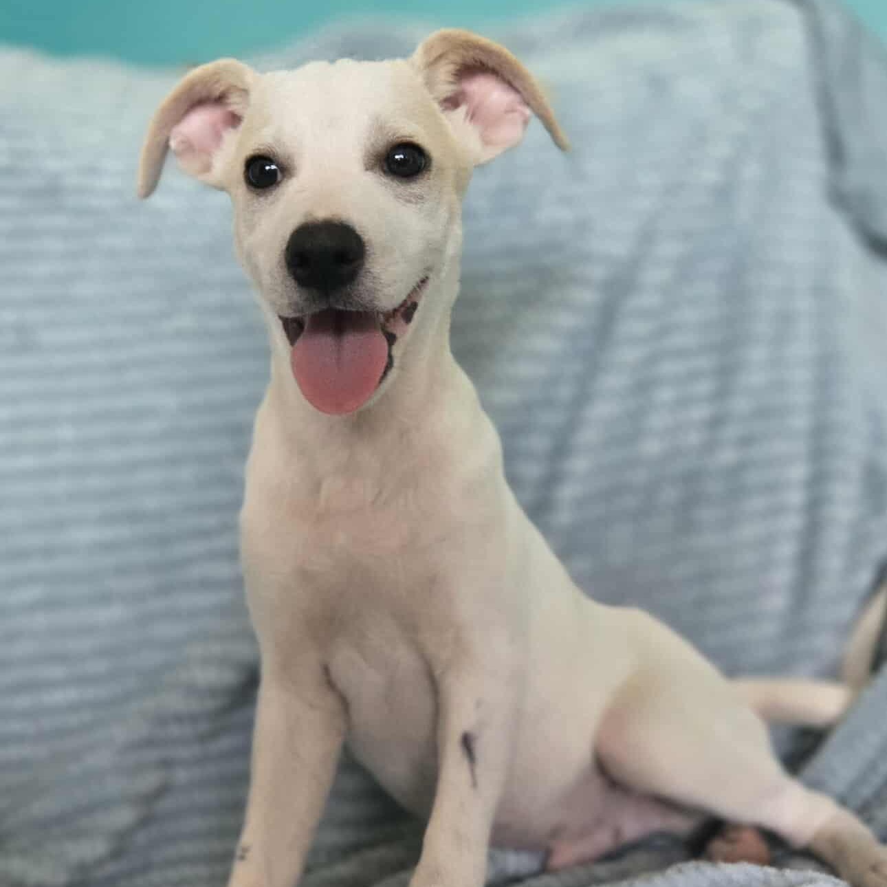 Casper!