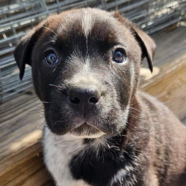 SPROUT - ARRIVED IN MAINE 3