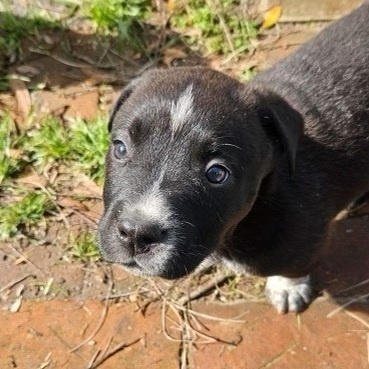 SPROUT - ARRIVED IN MAINE 2