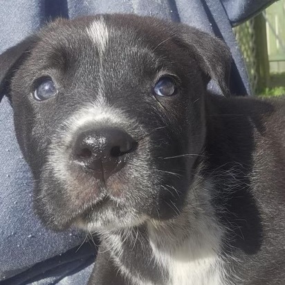 SPROUT - ARRIVED IN MAINE 5