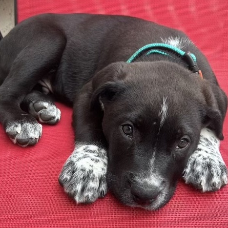 SPROUT - ARRIVED IN MAINE