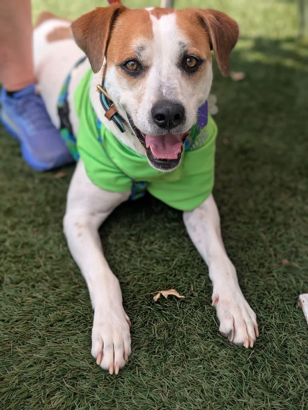 Walter — thumbnail 2