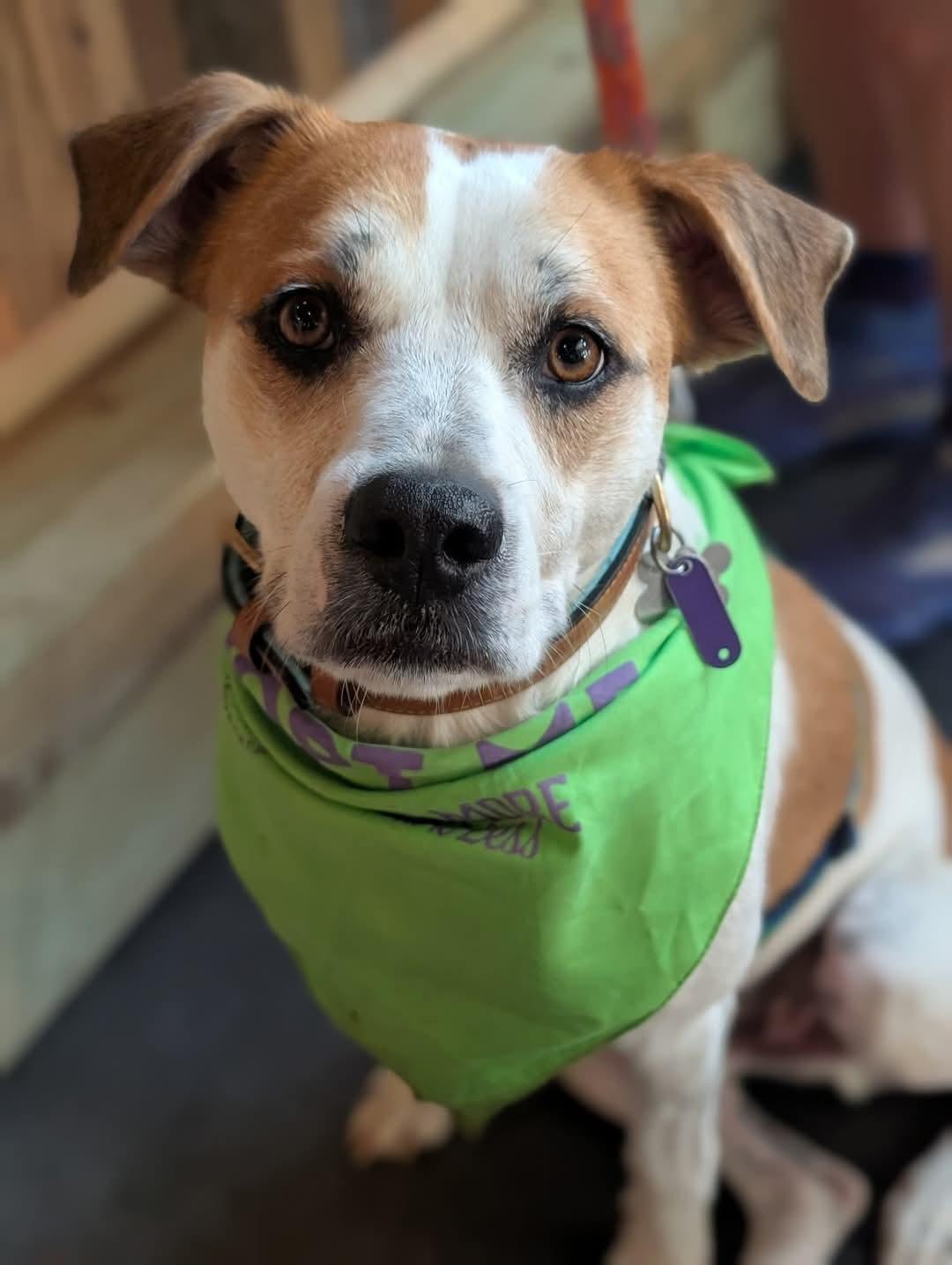 Walter — thumbnail 3