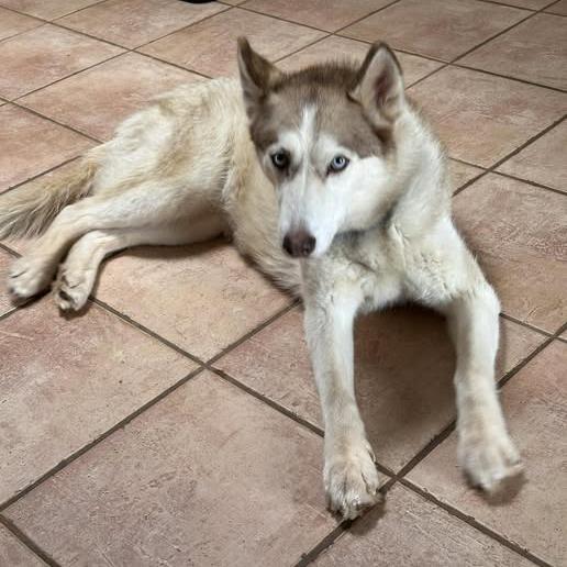 Chailey — thumbnail 5