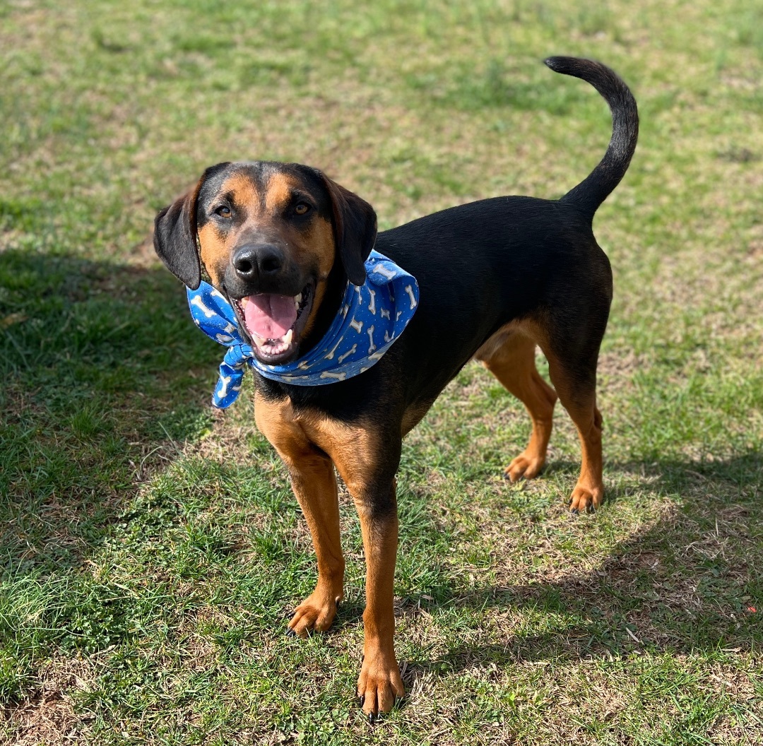 Wall.e — thumbnail 2