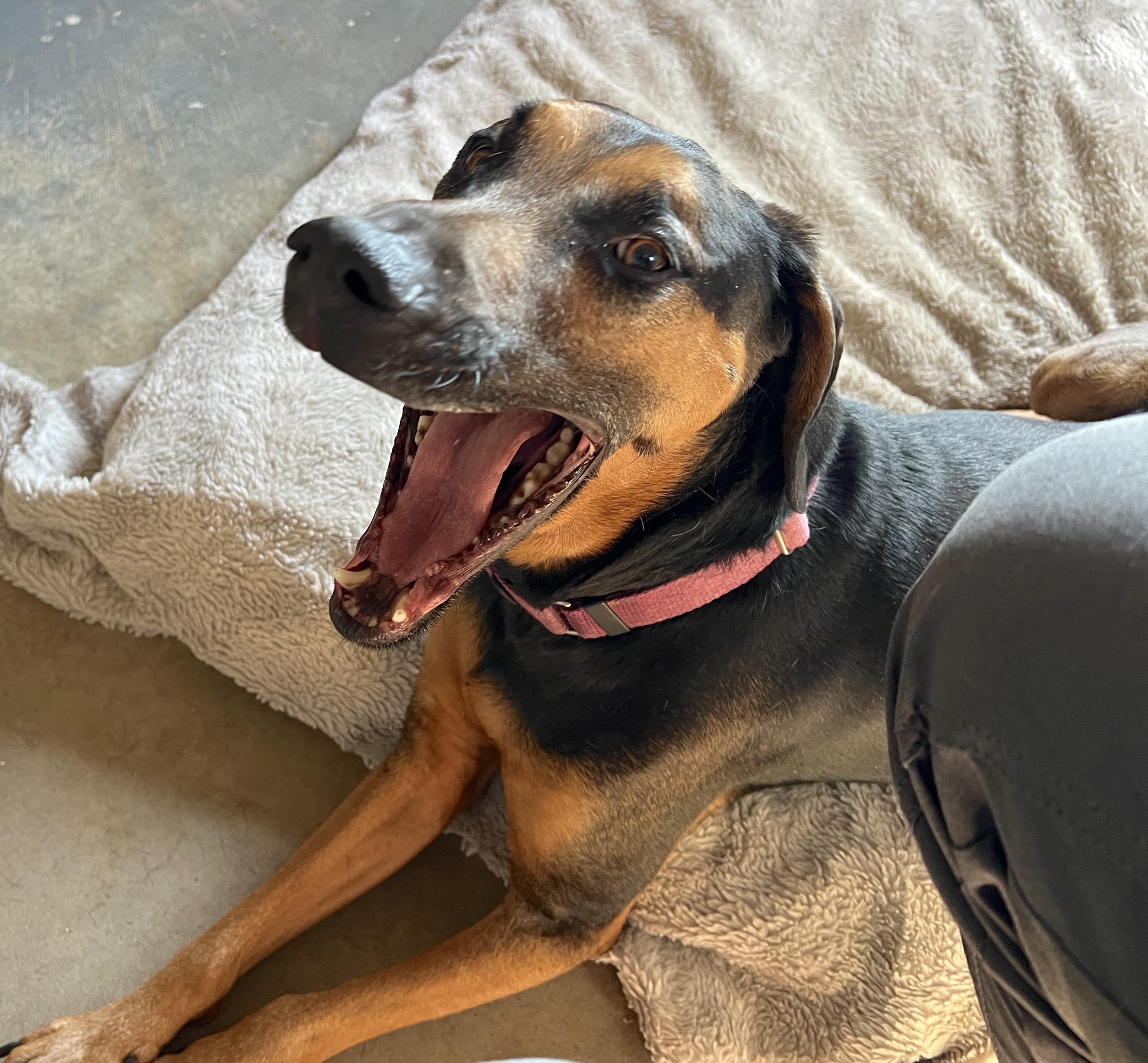 Wall.e — thumbnail 6