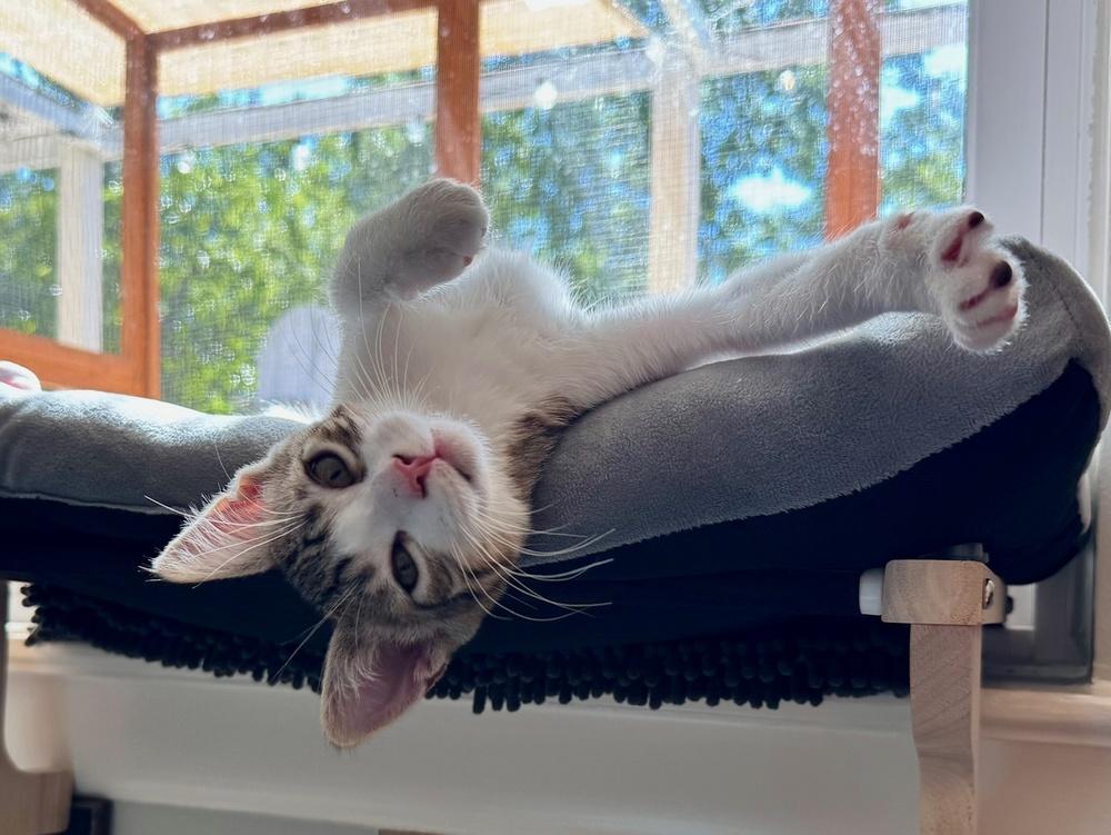 Kimchi — thumbnail 3