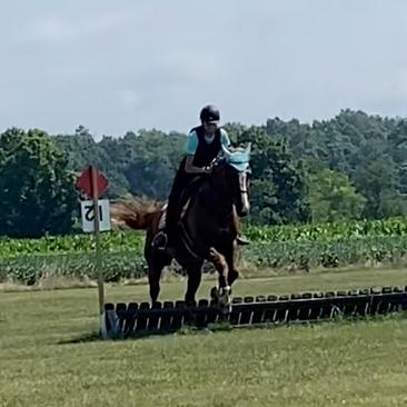 Enlarge Stetson, a Adoptable mixed breed in Quakertown, PA image 2/6