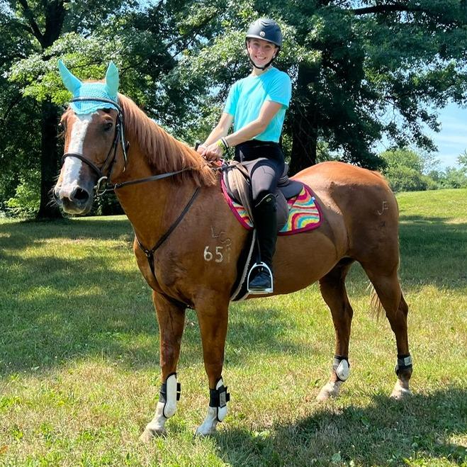 Enlarge Stetson, a Adoptable mixed breed in Quakertown, PA image 6/6