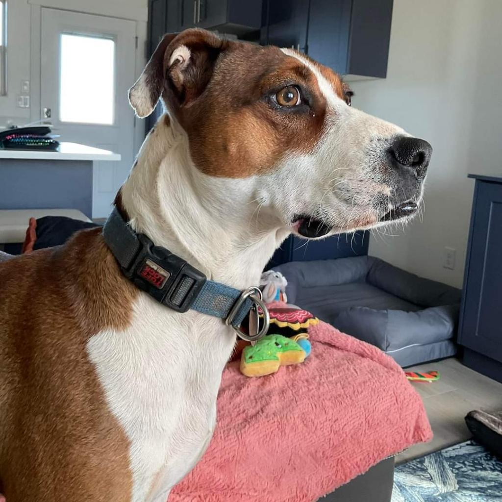 Maisy — thumbnail 2