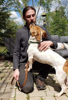 Enlarge Zena, a Adoptable mixed breed in Canterbury, CT image 6/6