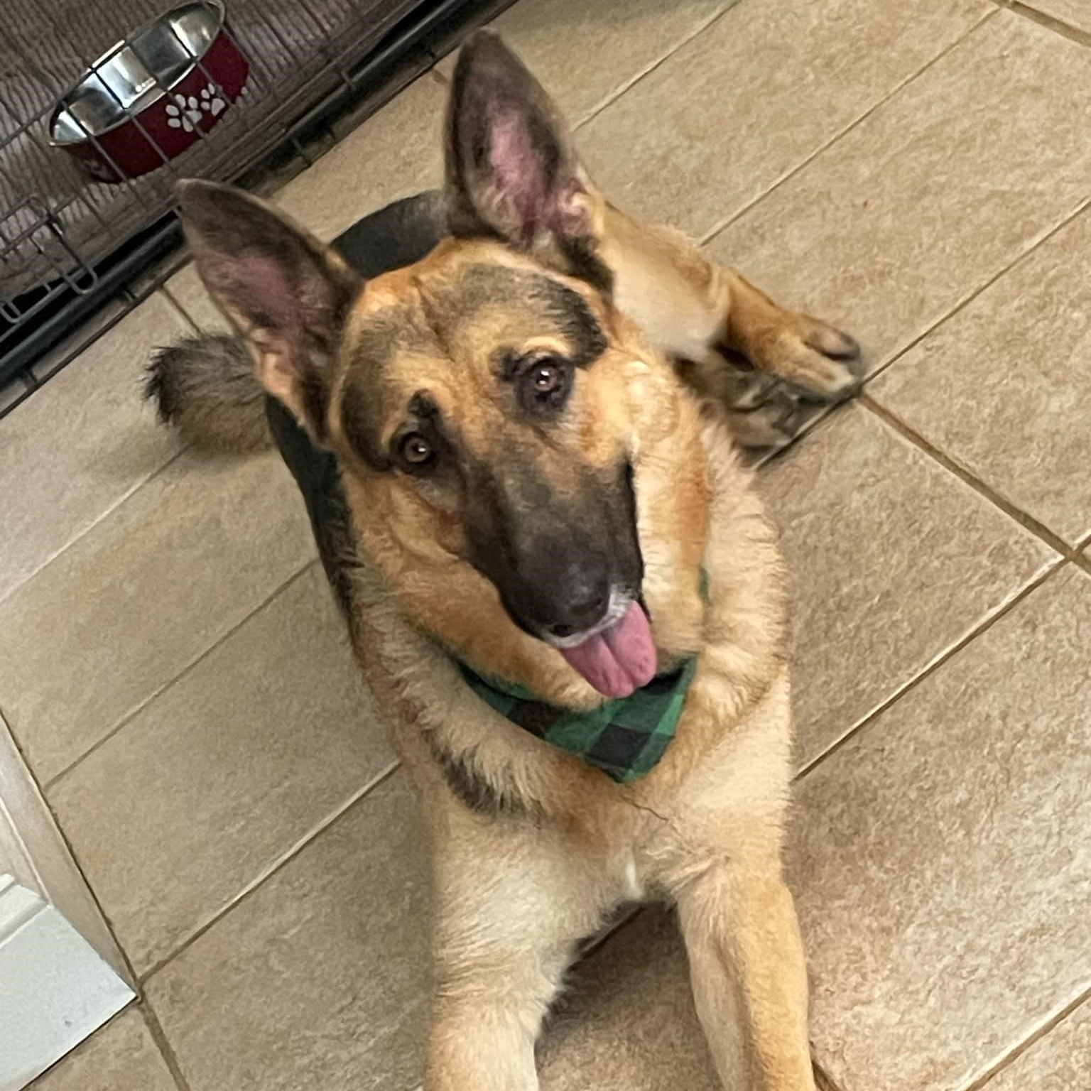 Lukas